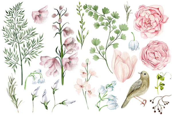 Vackert Akvarellset Med Rosa Vårblommor Och Knoppar Blad Och Fågel — Stockfoto