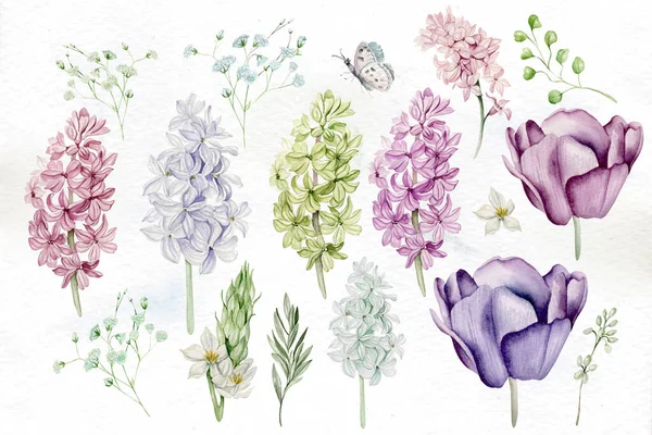 Belle Aquarelle Tendre Sertie Différentes Fleurs Feuilles Illustration — Photo