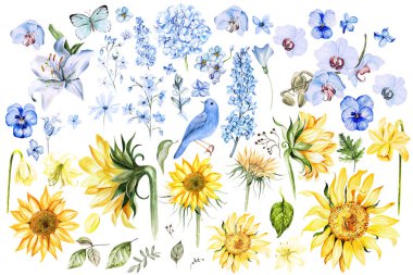 Sarı ve mavi çiçekli suluboya. Görüntü