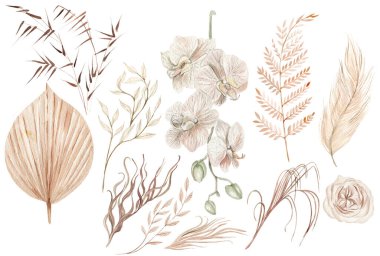 Watercolor  wedding boho set with hand painted tropical flowers  orchid and dried palm leaves, branches of pampas and rose flowers. Illustration