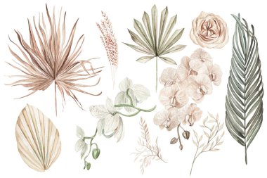 Watercolor  wedding boho set with hand painted tropical flowers  orchid and dried palm leaves, branches of pampas and rose flowers. Illustration