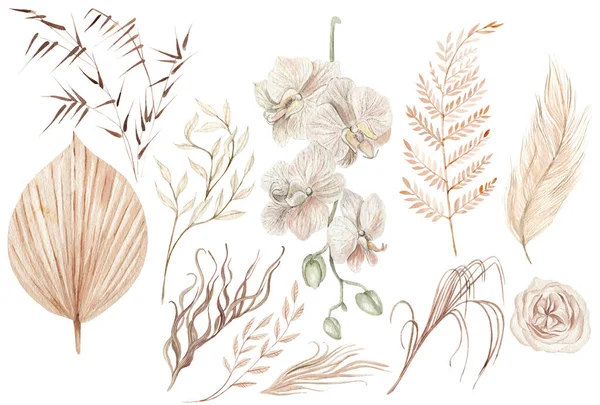 手描き熱帯の花蘭や乾燥ヤシの葉 パンパの枝やバラの花と水色の結婚式のBohoセット イラスト — ストック写真