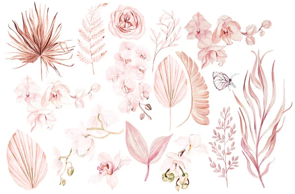 Akvarel Svatba Růžové Tropické Set Exotickými Květinami Orchideje Růže Palmové — Stock fotografie