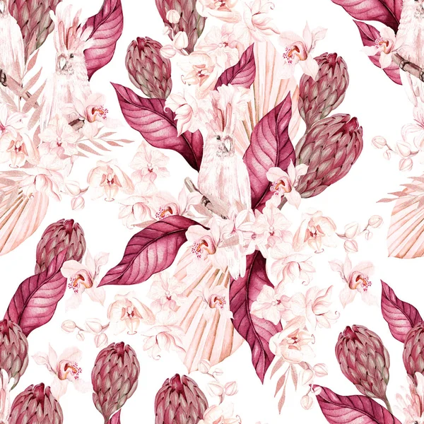 Akvarel Svatba Růžové Tropické Bezešvé Vzor Exotickými Květy Orchidej Protea — Stock fotografie