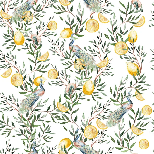 Watercolor seamless pattern with citrus and leaves, bird peacoc. Illustration