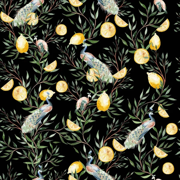 Watercolor seamless pattern with citrus and leaves, bird peacoc. Illustration