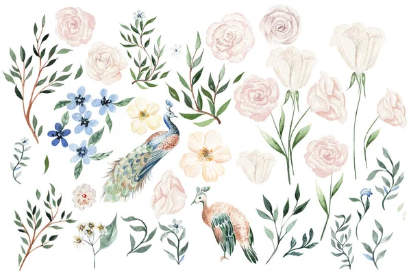 Watercolor Set Different Flowers Leaves Illustration — 图库照片