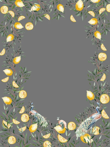 Watercolor Frame Citrus Fruits Leaves Birds Peacoc Illustration — Foto Stock