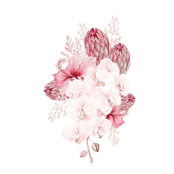 Watercolor Pink Tropical Bouquet Exotic Flowers Orchid Protea Hibiscus Leaves — Stock Photo, Image