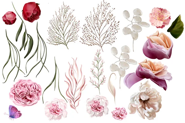 Ensemble Élégant Avec Pivoines Roses Feuilles Eucalyptus Illustration — Photo