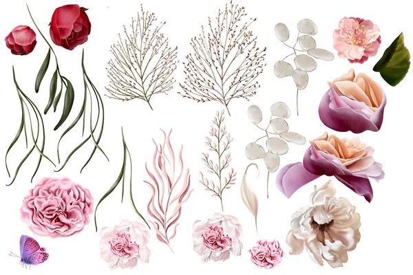 Elegant set with peonies, roses and eucalyptus leaves. Illustration