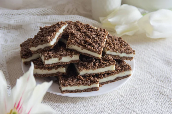 Delicious Layered Chokolate Cocoa Cake Bars Cottage Cheese Feeling White — ストック写真