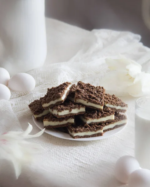 Delicious Layered Chokolate Cocoa Cake Bars Cottage Cheese Feeling White — Foto Stock