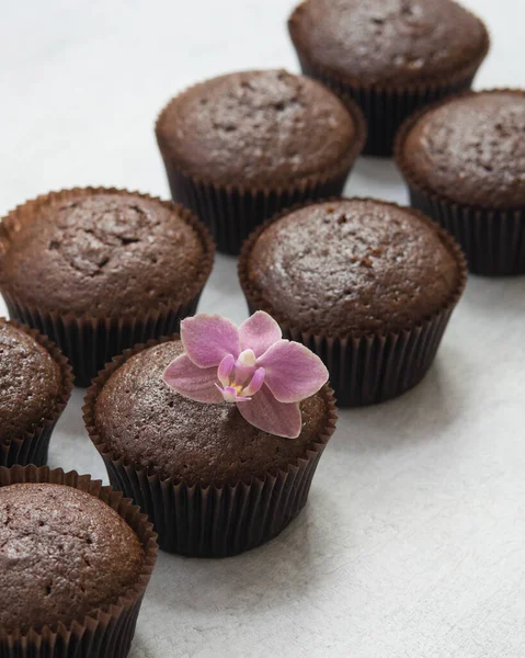 Chocolate Brownies Cacao Muffins Grey Background Baking Concept Selective Focus — Stock fotografie