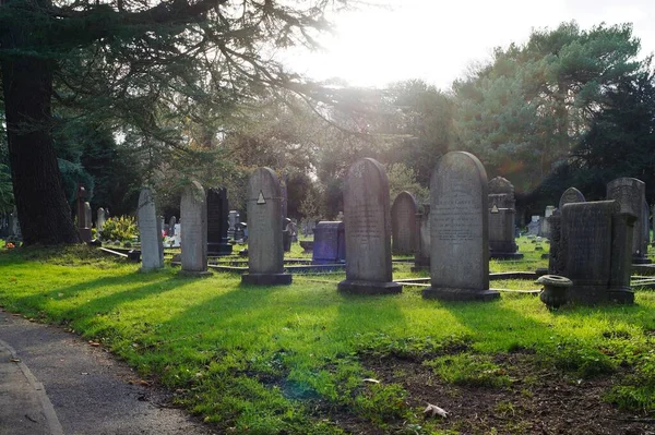 Row Gravestones Casting Long Shadows Grass Cemetery Sun Overhead — Stock Photo, Image