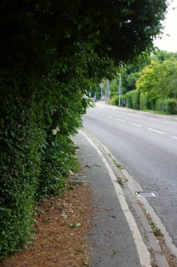 Bahçe çiti fazla büyümüş ve arka planda odak dışı bir yol ile kaldırımı kapatmış..