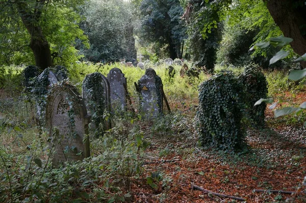 Old Abandoned Gravestones Woodland Cemetery Stock Snímky