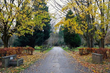 Boston Lincs UK 'deki Victoria mezarlığında sonbaharda ağaçların arasından geçen bir yol.