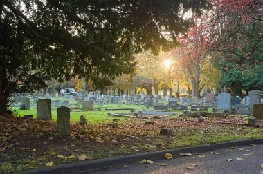 Victoria Mezarlığı 'ndaki mezar taşları. Sonbahar ağaçlarının arasından güneş parlıyor..