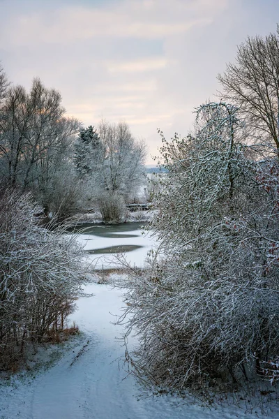 Zimní Krajina Pěšinou Mezi Keři Stromy Sněhem Polozamrzlému Jezeru Pod — Stock fotografie