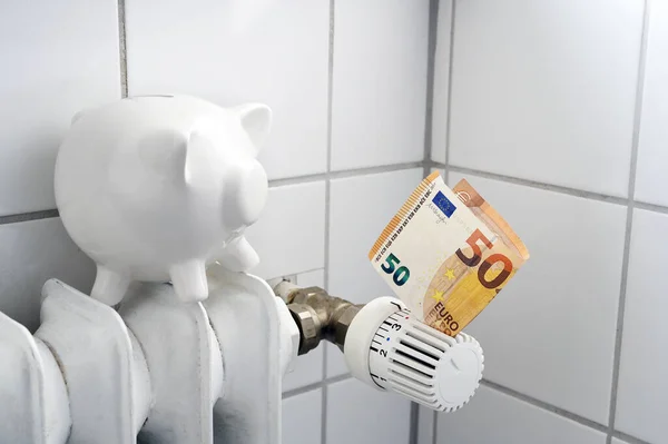 Piggy银行坐在散热器和恒温器中的欧元钞票上 为取暖成本上升的家庭融资概念 复制空间 选定的焦点 狭窄的野外深度 — 图库照片