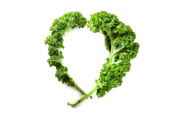 冬野菜のケールや緑の葉キャベツ 心臓の形をした2つの巻き葉は 白い背景に隔離され 健康的な食事のコンセプト コピースペース 選択された焦点 — ストック写真