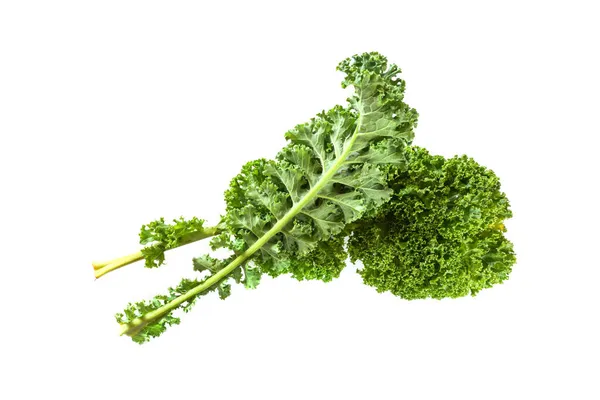 冬野菜のケールや緑の葉キャベツ 白い背景に隔離された2つの巻き葉 健康的な食事のコンセプト コピースペース 選択された焦点 — ストック写真