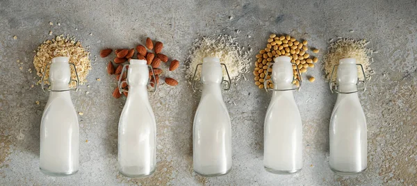 Bottles Different Vegan Milk Ingredients Soy Nuts Cereals Lying Rough — Stock Photo, Image