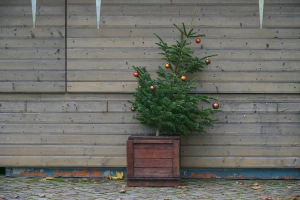 Gesleepte Dennenboom Met Resterende Decoratie Staat Verlaten Voor Een Gesloten — Stockfoto