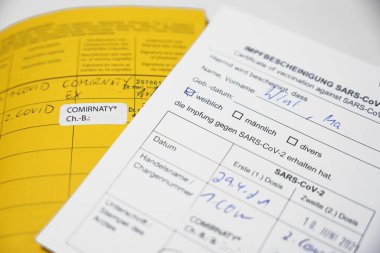 Sarı Uluslararası Aşı Sertifikası ve SARS-CoV-2 Covid-19 için Alman rekor kartı, Coronavirus salgını sırasında seyahat gereksinimleri kavramı, seçilmiş odak noktası, dar alan derinliği