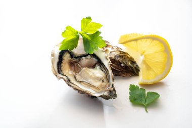 Limon dilimli ve maydanozlu yeni açılmış istiridye beyaz arka plan, kopyalama alanı, seçilmiş odak, dar alan derinliği