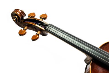 Viyola, mandal kutusu ve keman klavyesi, viyola ailesinden bir müzik teli parçası, beyaz bir arka planda izole edilmiş, boşluğu kopyala