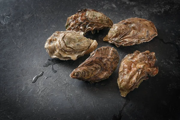 Pacific Oysters Fresh Fish Market Dark Gray Background Copy Space — Stockfoto
