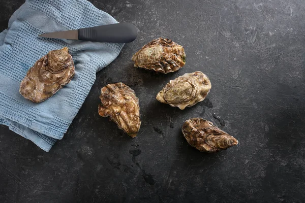 Frisch Geschlossene Austern Spezielles Messer Zum Öffnen Und Ein Blaues — Stockfoto