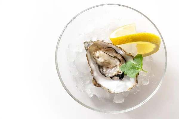 Fresh Oyster Crushed Ice Glass Bowl Lemon Slice Parsley Garnish — стоковое фото