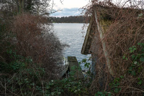 Maison Bateau Abandonnée Quai Bois Pourri Vieux Bateau Envahi Ronces — Photo