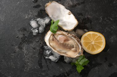 Limon dilimli çiğ istiridye ve koyu gri bir arka planda maydanoz, kopyalama alanı, yukarıdan yüksek açılı görüş, seçilmiş odak noktası.