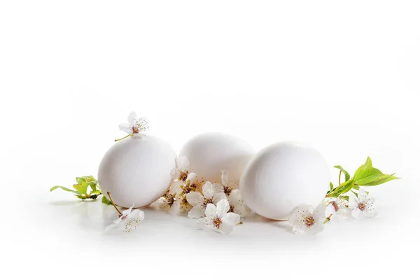 Три Яйця Дикі Вишневі Квіти Білому Тлі Легка Великодні Вітальна — стокове фото