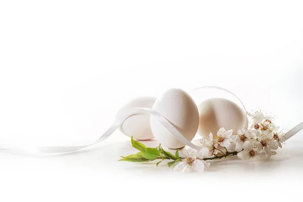 Three White Eggs Easter Ribbon Branch Wild Cherry Flowers Light — Stock Photo, Image