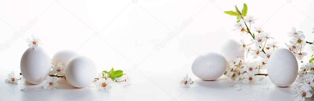 Easter arrangement with white eggs and wild plum flower branches on a bright background in wide panoramic banner format, holiday and spring concept, copy space, selected focus, narrow depth of field