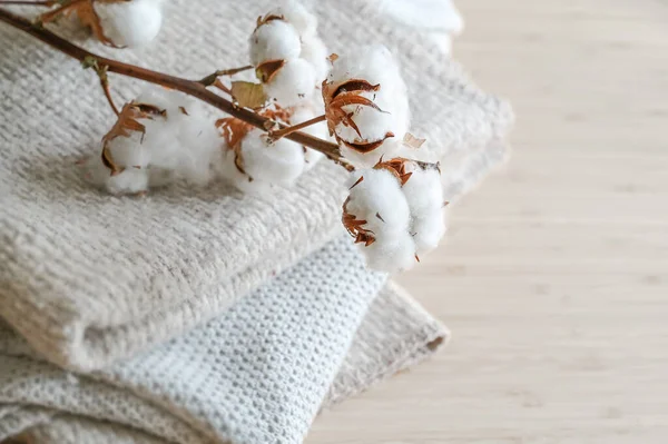 Branch Fluffy Cotton Balls Pile Natural Colored Fabrics Fashion Concept — ストック写真