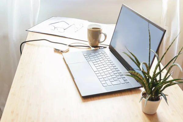 Laptop Uma Mesa Lado Dele Uma Planta Café Anel Aglutinante — Fotografia de Stock