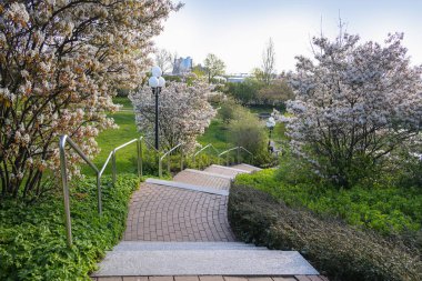 Yamaçta bahçe tasarımı, granit basamaklar ve paslanmaz çelik parmaklıklar ve lambalarla döşenmiş tuğla kaldırımlar, çiçekli gölgeler (Amelanchier) ve toprak örtüsü, fotokopi alanı, seçilmiş odak noktası