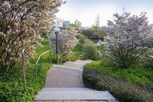 Yamaçta bahçe tasarımı, granit basamaklar ve paslanmaz çelik parmaklıklar ve lambalarla döşenmiş tuğla kaldırımlar, çiçekli gölgeler (Amelanchier) ve toprak örtüsü, fotokopi alanı, seçilmiş odak noktası