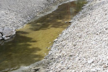 Daha uzun bir ısı periyodundan sonra neredeyse kurumuş nehir yatağı, küresel iklim değişikliğinin etkisi, ekoloji konsepti, kopyalama alanı, seçilmiş odak