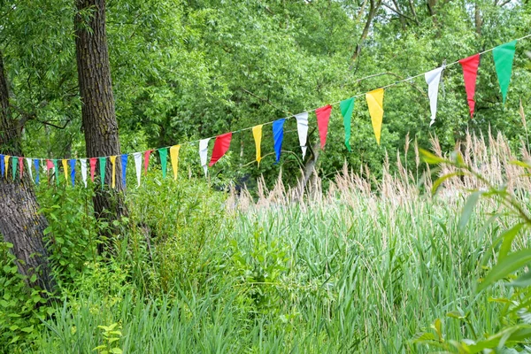 Colorful Pennants Hanging Line Trees Park Decoration Summer Party Nature — Fotografia de Stock