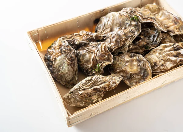Fresh Oysters Wooden Box Fish Market White Background Selected Focus — Stockfoto