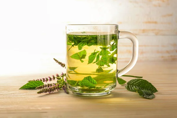 Fresh Peppermint Leaves Brewed Healthy Herbal Tea Glass Cup Some — стоковое фото