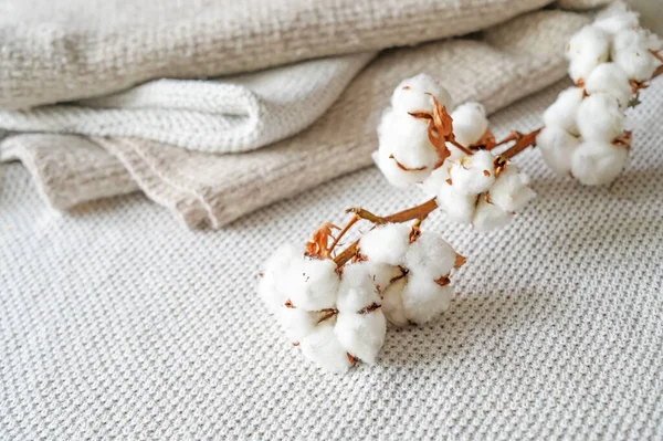Neutral Colored Fabrics Made Ecofriendly Grown Cotton Branch Fluffy Balls — Φωτογραφία Αρχείου