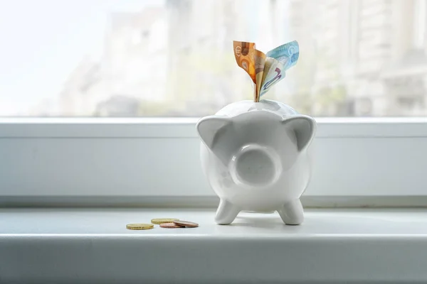 Piggy Bank Euro Notes Coins Window Sill Concept Thrift Inflation — 스톡 사진